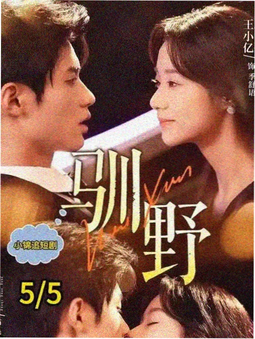 鲤鱼村电影观片向导第二步人物档案整理